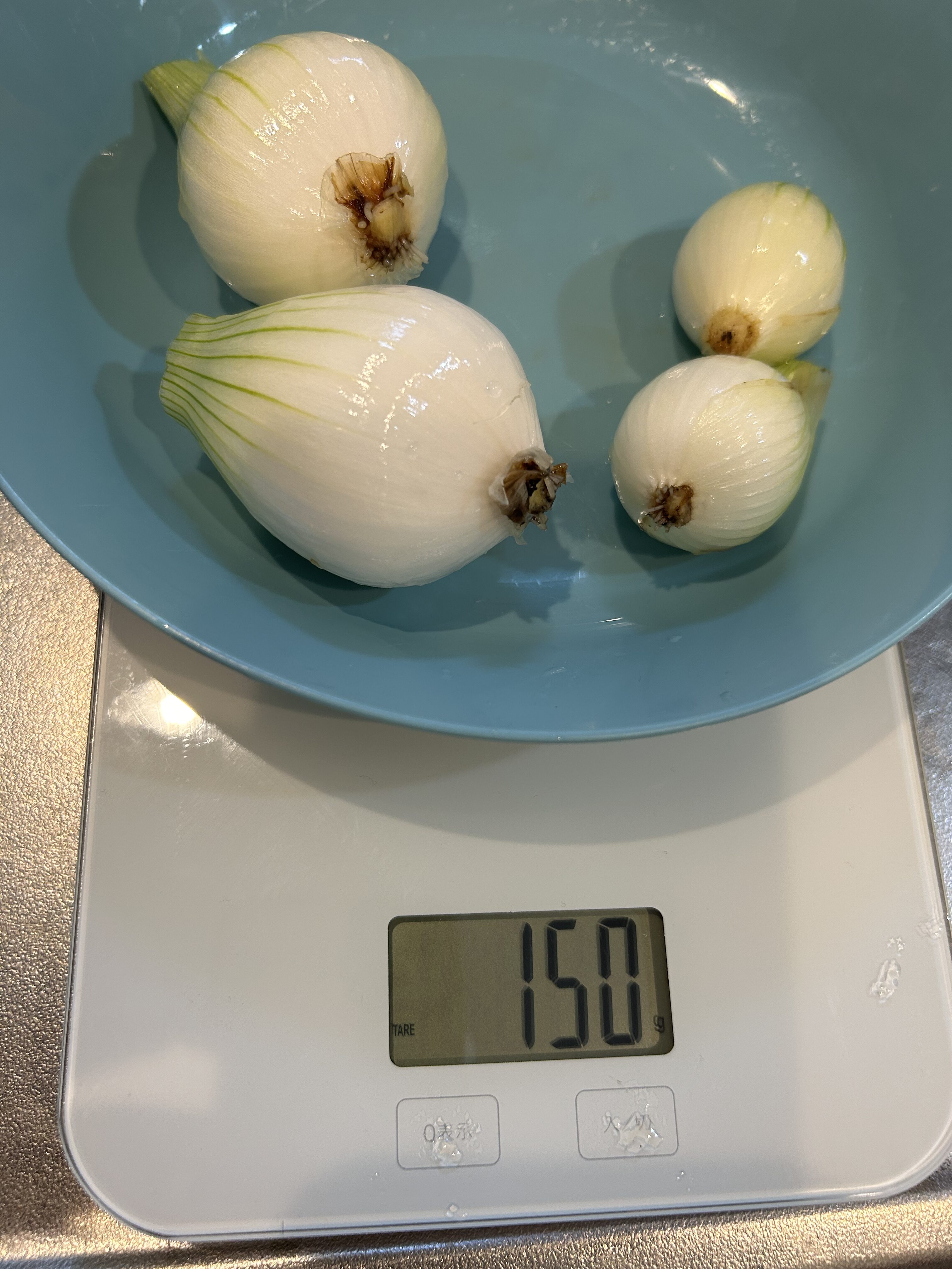 収穫した葉物野菜