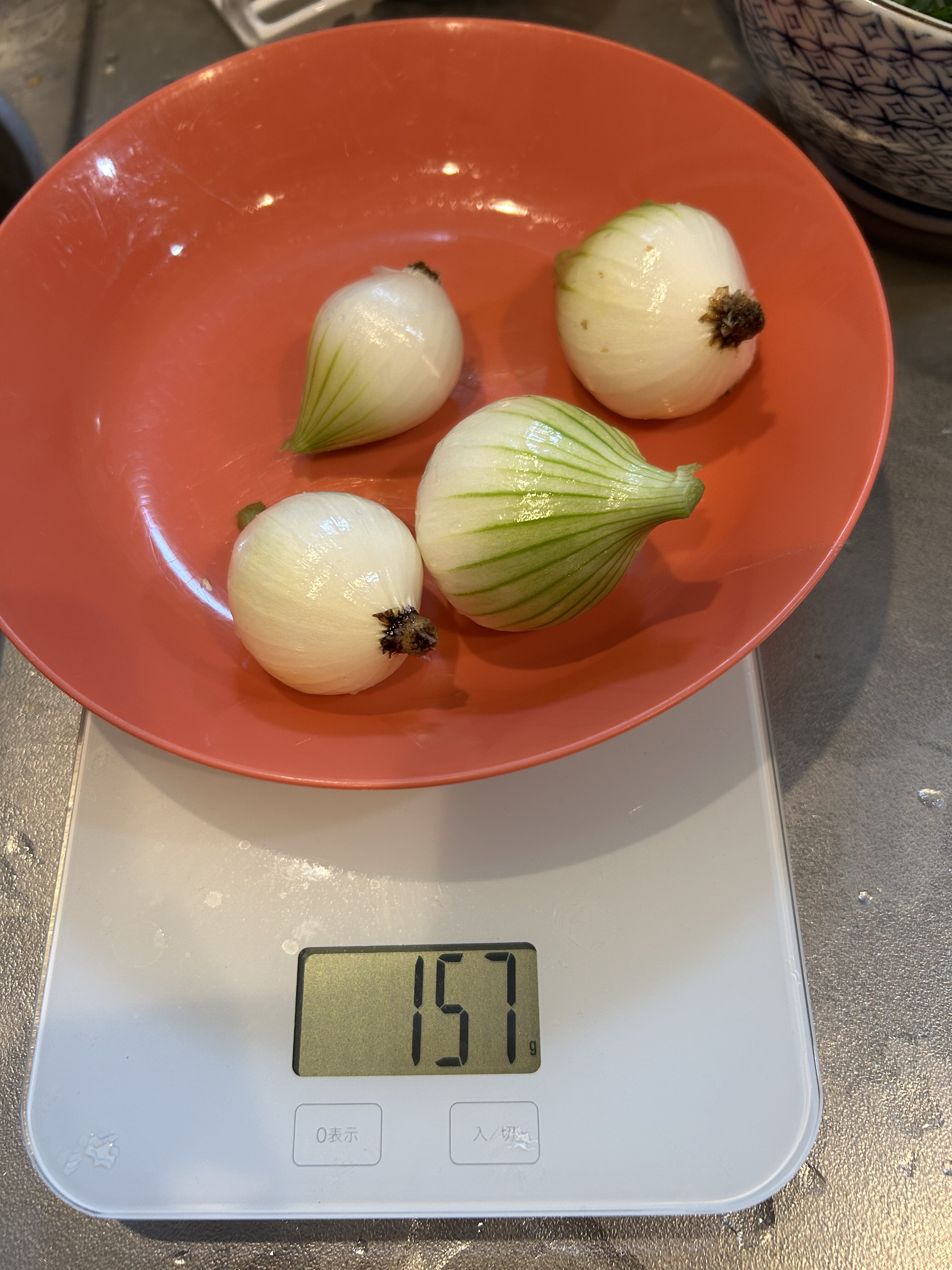 ナスの苗