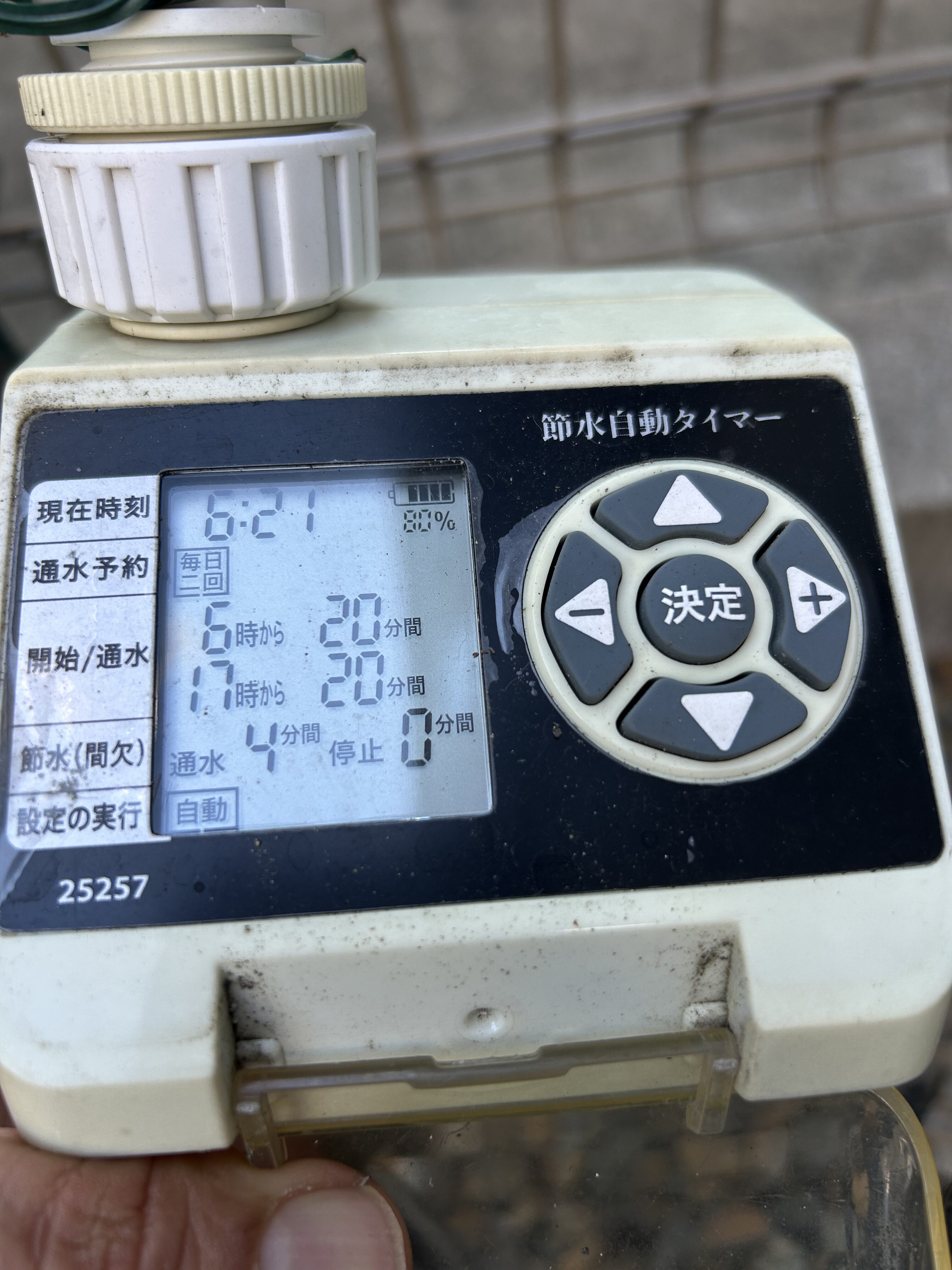 全景写真